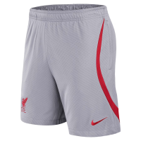 Тренировочные шорты Nike Strike Training Shorts ФК Ливерпуль