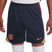 Тренировочные шорты Nike Training Shorts ФК Барселона