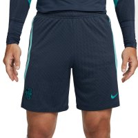 Тренировочные шорты Nike Strike Elite Training Shorts ФК Барселона
