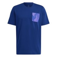 Футболка Adidas DNA Graphic Tee Сборная Аргентины