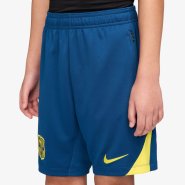 Юношеские шорты nike Junior Strike Shorts ФК Барселона