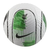 Футбольный мяч Nike Academy WG ФК Ливерпуль
