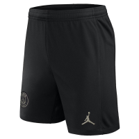 Шорты Nike Jordan Third Shorts 2023-24 ФК Пари Сен-Жермен