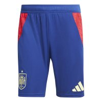 Тренировочные шорты Adidas Training Shorts Сборная Испании