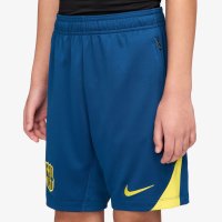 Юнацькі шорти nike Junior Strike Shorts ФК Барселона