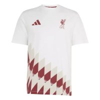 Футболка adidas Graphic ФК Ливерпуль Футболка adidas Graphic ФК Ливерпуль