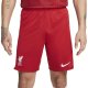 Шорты Nike Home Shorts 2023-24 ФК Ливерпуль Шорты Nike Home Shorts 2023-24 ФК Ливерпуль